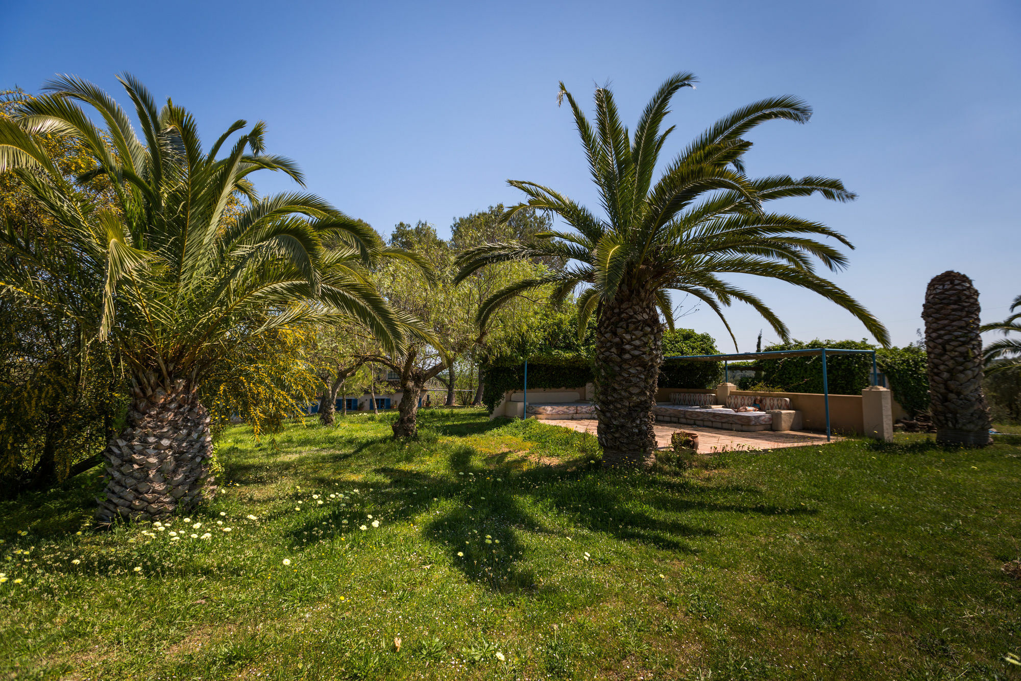 Finca Son Miranda - LA Organic Sencelles Esterno foto