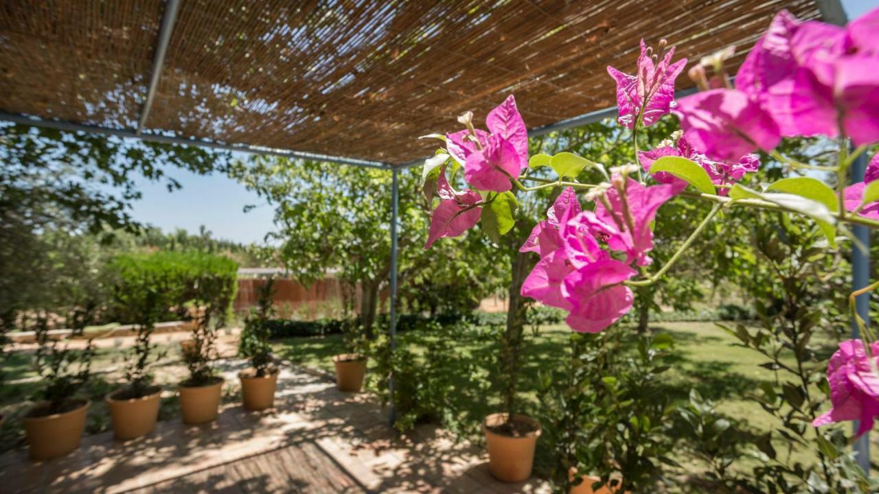 Finca Son Miranda - LA Organic Sencelles Esterno foto