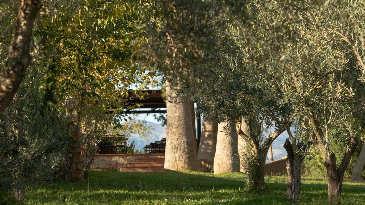 Finca Son Miranda - LA Organic Sencelles Esterno foto