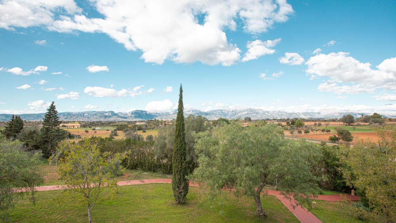 Finca Son Miranda - LA Organic Sencelles Esterno foto